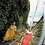 K.P.M/温帯ブギー