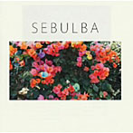 踊ってばかりの国/SEBULBA