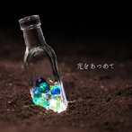 Mercy Woodpecker/光をあつめて
