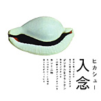 ヒカシュー/入念