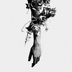 mouse on the keys/the flowers of romance