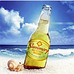 岩崎元是/Summery