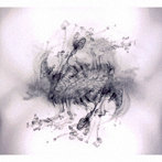 HIDEYUKI HASHIMOTO/AIR