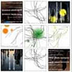 three mono surround/37th rabbit’s word/十plus