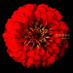蔵田みどり/花束降るひ