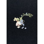 ARAKI Shin/PRAYER