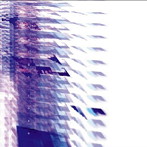 AOKI takamasa/indigo rose