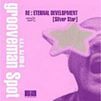grooveman Spot a.k.a DJ KOU-G/Re:Eternal Development（Silver Star）