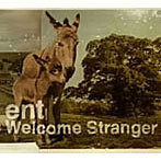 ent/Welcome Stranger