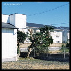 オレンジスパイニクラブ/イラつくときはいつだって