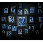 sasaki mika/memories of sasaki san