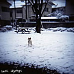 トゥース/idoly chips