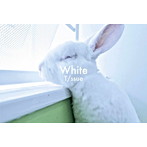 T/ssue/White