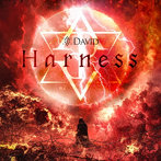 DAVID/Harness（Type-A）