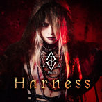 DAVID/Harness（Type-B）