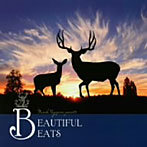 Beautiful Beats