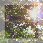 音・音/Imagine Peaceful Moments
