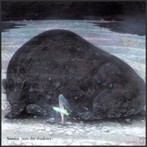 アノイス/into the shadows