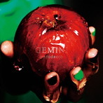 METEOROID/GEMINI