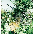 LOOP POOL/Now And Then
