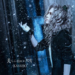 KAMIJO/美しい日々の欠片（初回限定盤B）