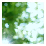 高野寛/Everything is good