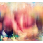 akisai/images（DVD付）