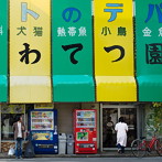 佐々木龍大/ララバイ