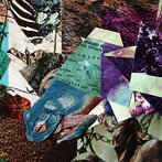 Merzbow/Sugamo Flower