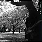 門谷純/向日葵