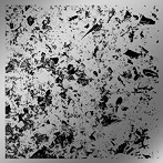 shotahirama/Surf（BOX）
