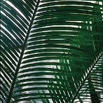 Acryl/Portion