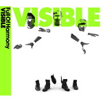 Full Of Harmony/VISIBLE