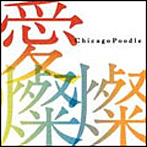 Chicago Poodle/愛燦燦