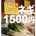 【クリックで詳細表示】Negi/ネギ1500円