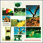 石橋英子+吉田達也/slip beneath the distant tree