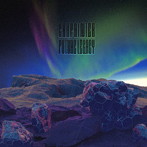 Carpainter/FUTURE LEGACY