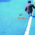 MEISTAR/Butterfly