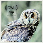 dip/OWL
