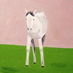 ポラリス/色彩
