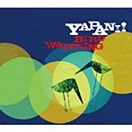Yapani！/Bird Watching