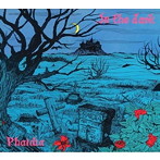 Phaidia/IN THE DARK