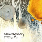 comeropeway/Sunrise at the Ptarmigan Forest