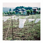 Without Crying/White
