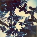 Chihei Hatakeyama ＋ Stijn Huwels/Jodo