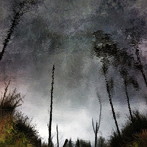 Chihei Hatakeyama/Ghost Woods