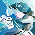 Indigo/bivouac