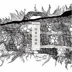 yohiaco/知覚の境界