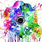ircle/iしかないとか