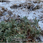 FC/Industrial Society and Its Future （Paragraphs 42-110）